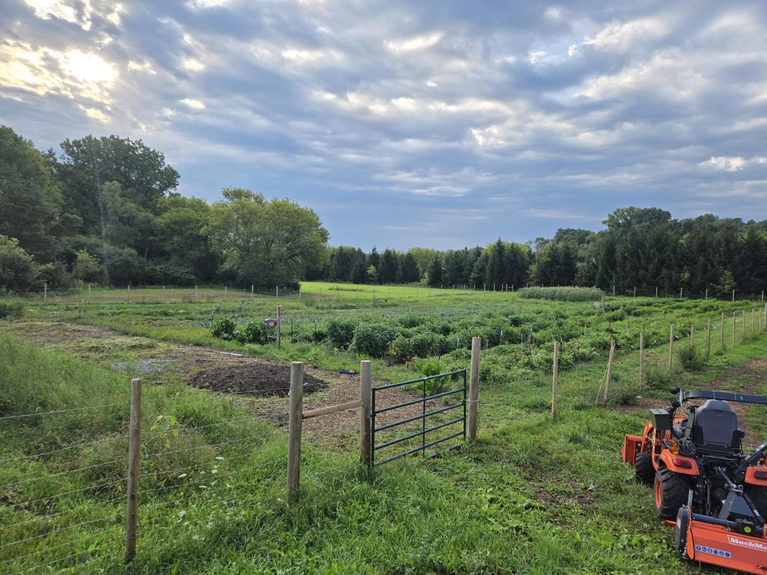 The market garden at Dale's Quails Acres